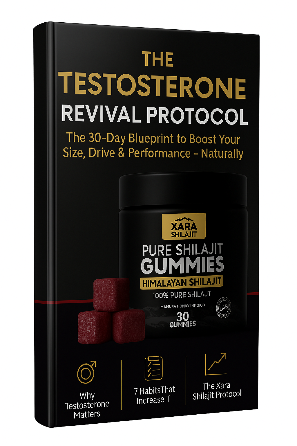 Xara Testosterone Revival Ebook